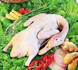 青岛特色家禽畜牧类农产品赏析